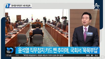 ‘윤석열 직무정지’ 사유 뭐길래