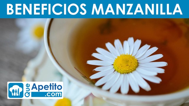 8 Propiedades y Beneficios de la Manzanilla | QueApetito