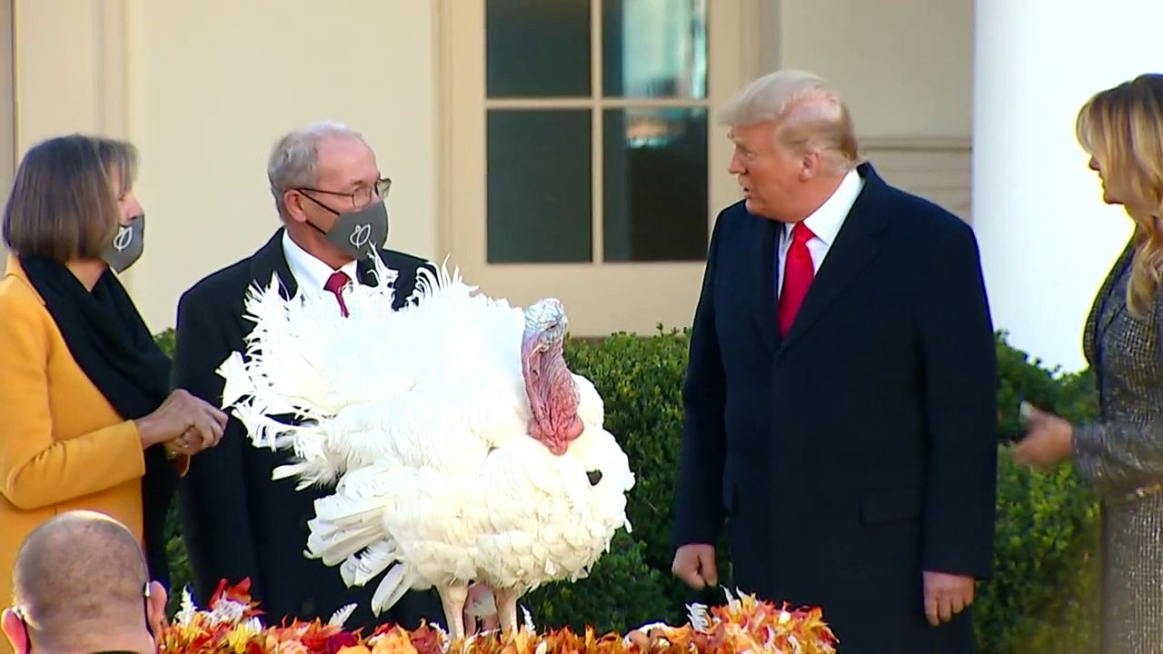 Trump begnadigt Truthahn