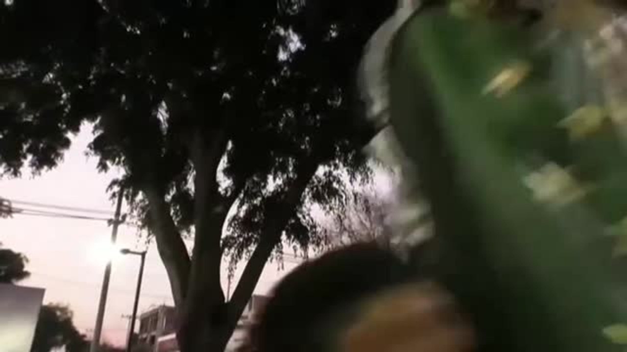 Cancelan la peregrinación a la Basílica de Guadalupe, en México