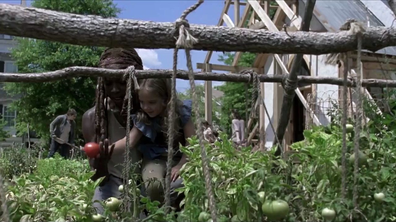 The Walking Dead 9 - Tráiler