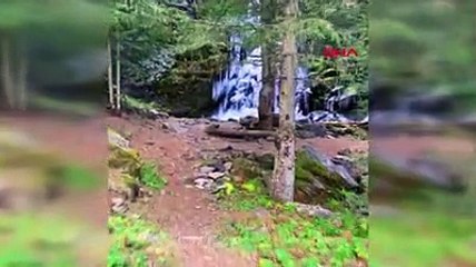 Köroğlu Dağları'nda şelale ve dereler buz tuttu