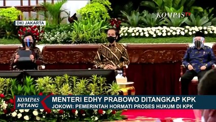 Download Video: Beda Aturan Ekspor Benih Lobster Era Edhy Prabowo dan Susi Pudjiastuti