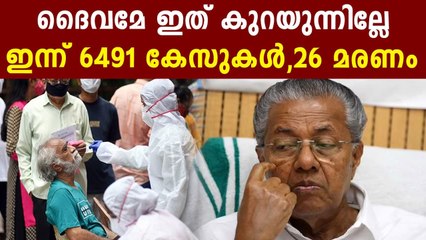6491 New Covid Positive Cases In Kerala Today