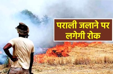 पराली जलाने की बजाए बायोगैस बनाने के लिए लगाए जाएंगे प्लांट