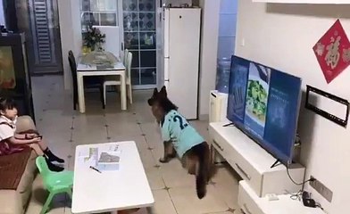 18 00 Erken uyarı sistemi