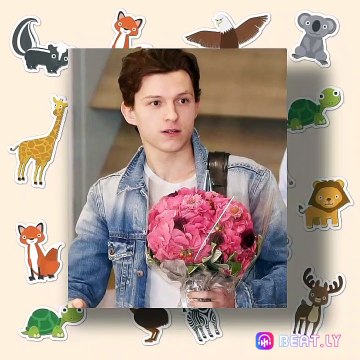 TOMHOLLAND•SPIDER MAN watsapp status• Tom Holland edit