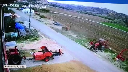 Sokak köpeğini silahla öldüren şüpheli yakalandı!