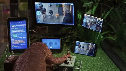 Cats & Dogs Slaan de Pootjes Ineen! Film Trailer