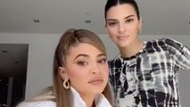 Kendall & Kylie Jenner Poke Fun At Their Differences in TikTok Challenge