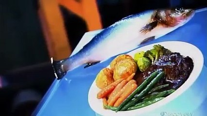 How Its Made - 732 Replica Foods