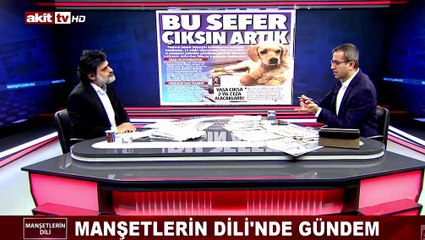 Şimdiden uyarıyoruz! AK Parti, İstanbul Sözleşmesi'nde düştüğü tuzağa bir kez daha düşmek üzere