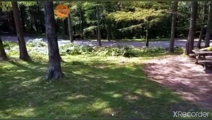 مقطع رائع جدا اسرار الخشوع في الصلاة