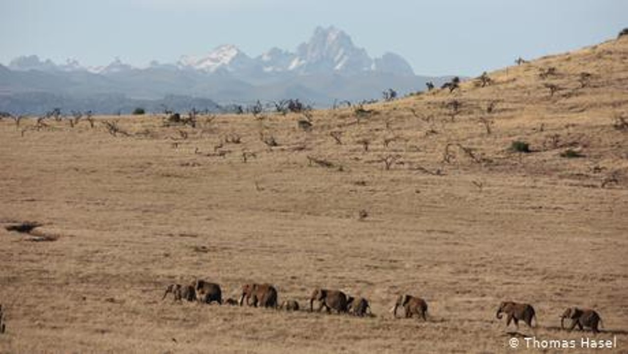 Kenia: Nachhaltiger Naturschutz in der Savanne
