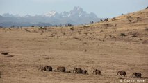 Kenia: Una reserva ecológica en la sabana
