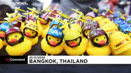 Les canards, emblème des manifestants pro-démocratie en Thaïlande