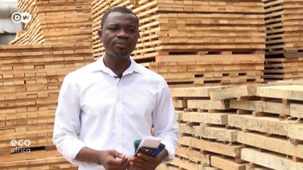 Fighting illegal logging in Ghana with an app