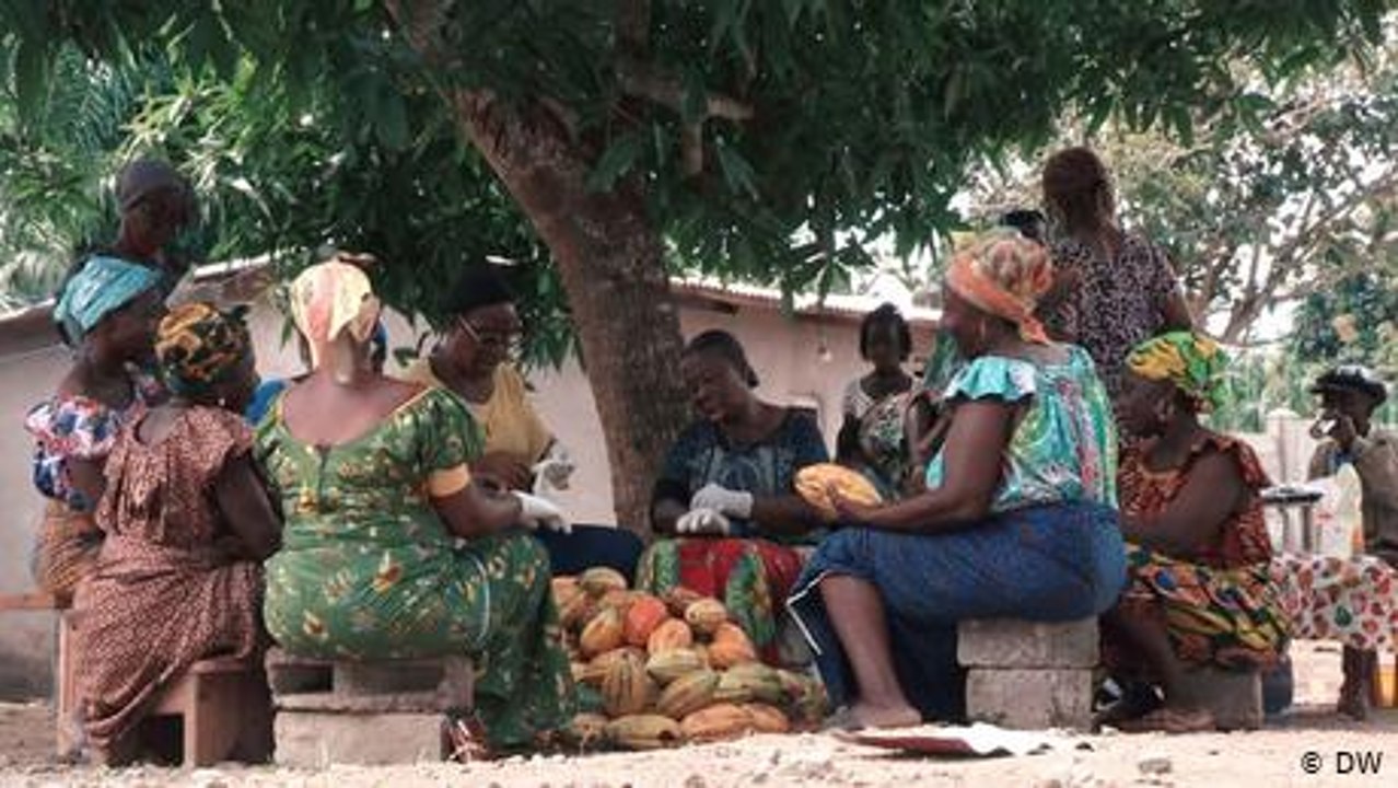Taking cocoa production into their own hands in Ivory Coast