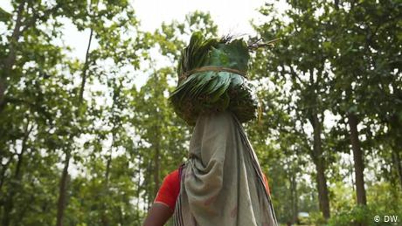 India's solar man