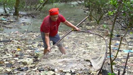 Protecting mangroves in Mumbai
