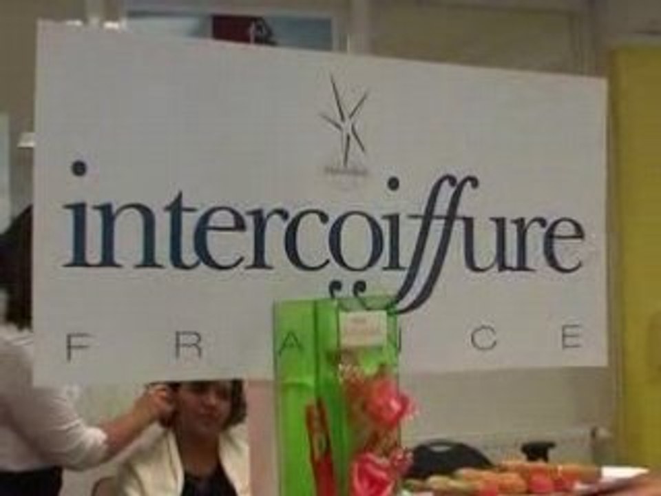 LEFFET PAPILLON Alain Divert