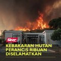 Kebakaran hutan Perancis ribuan diselamatkan
