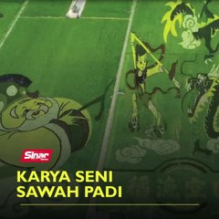 Karya seni sawah padi