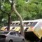 Guangzhou bus falls from viaduct: accident caused no injuries