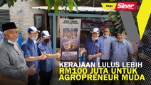 Kerajaan lulus lebih RM100 juta untuk Agropreneur Muda