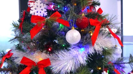 Gaby and Alex decorated house for Christmas