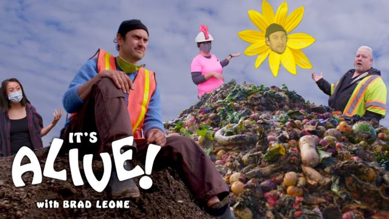 Brad Learns How to Compost