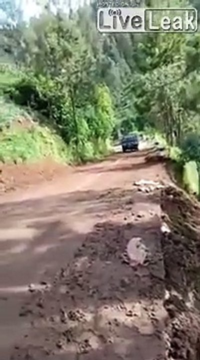 Leur voiture chute dans le ravin et ils s'en sortent tous par miracle