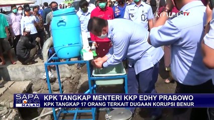 Télécharger la video: Menyoroti Aturan Menteri KKP Edhy Prabowo Soal Ekspor Benih Lobster