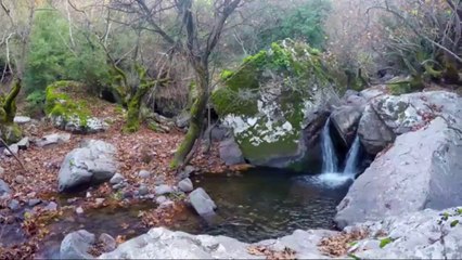 Relaxing Music with Nature Sounds 1hours - Waterfall HD