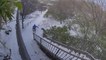 Guy Faceplants After Attempting To Ski On Handrail