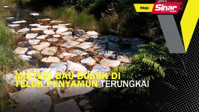 Misteri bau busuk di Teluk Penyamun terungkai