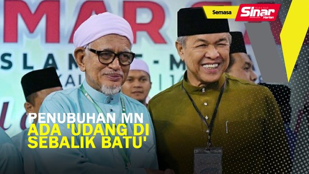 Penubuhan Muafakat Nasional ada 'udang di sebalik batu'
