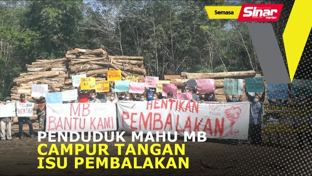Penduduk mahu MB campur tangan isu pembalakan