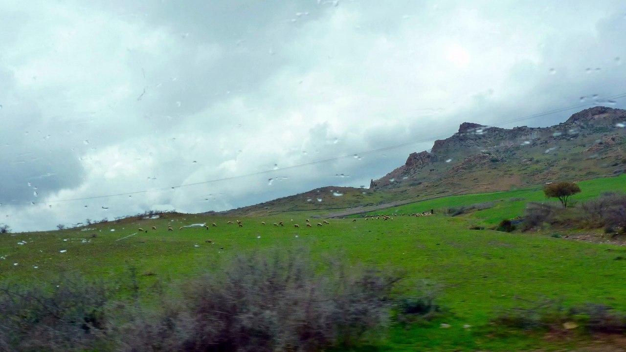 Layaly Ensemble Berlin 2004 - Sa'al Fina (arabisch)