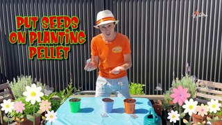 Learn How To Plant Seeds With Mr Oopy