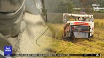 유례없는 흉년…52년 만에 쌀 생산 '최저'