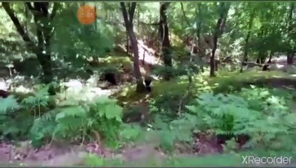 مقطع رائع جدا ذكر يغفل عنه المسلم ينور له القبر والصراط