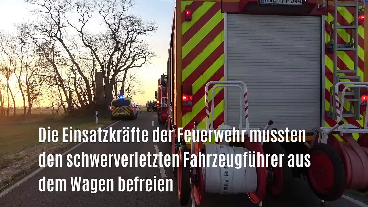 Brandenburg - Kleintransporter kracht bei Nauen-Quermathen in Baumgruppe, Bäume müssen gefällt werden