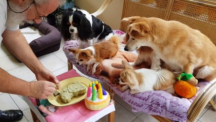 Joyeux Anniversaire Phandor