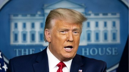 Trump Pardons Michael Flynn