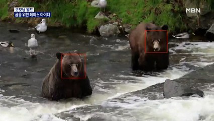 [굿모닝월드] 곰을 위한 페이스 아이디