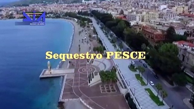 'Ndrangheta, sequestrati beni per 2 milioni ad esponente della cosca Pesce (24.11.20)