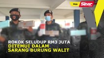 Rokok seludup RM3 juta ditemui dalam sarang burung walit
