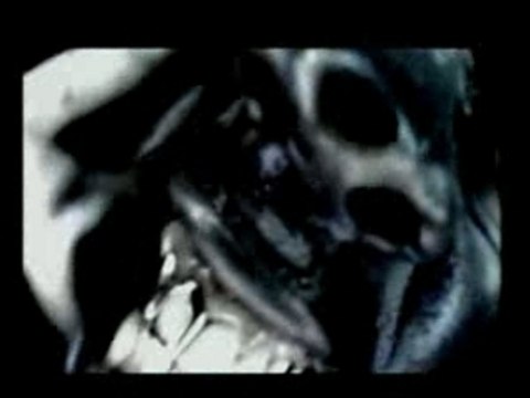 Raggasonic Feat NTM-Aiguise comme une lame