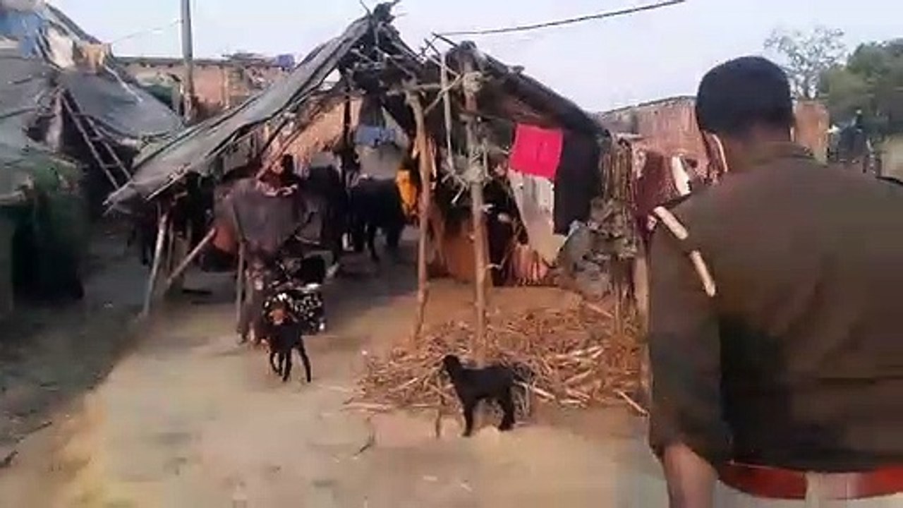 लखीमपुर खीरी: पुलिस व आबकारी टीम ने अवैध शराब के खिलाफ अभियान चलाकर की छापेमारी